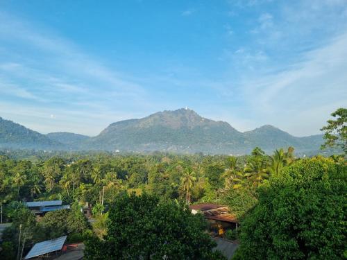 Sisila rest in Udapalatha