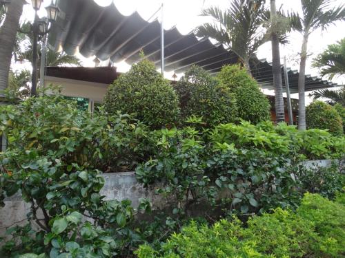 Hoai Pho Hotel – Ho Chi Minh City, LA