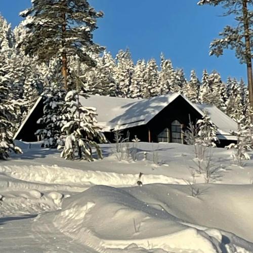 . Villavemdalen