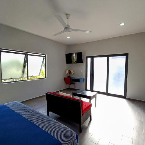 Studios V19 in Colima