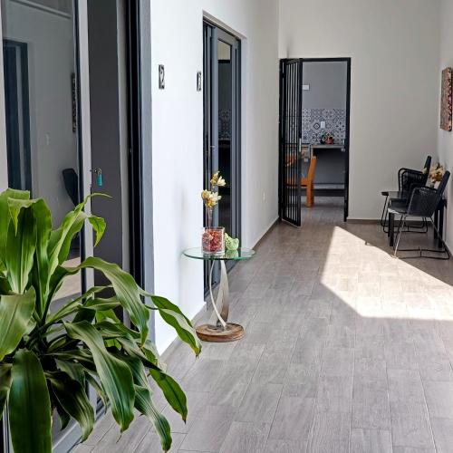 Studios V19 in Colima