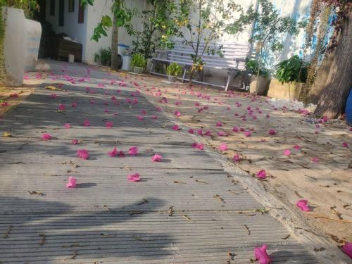 Bagamoyo home stay in Bagamoyo