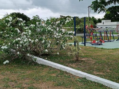 Aconchego in ชารดิงโมราดาดาอัลเดยา