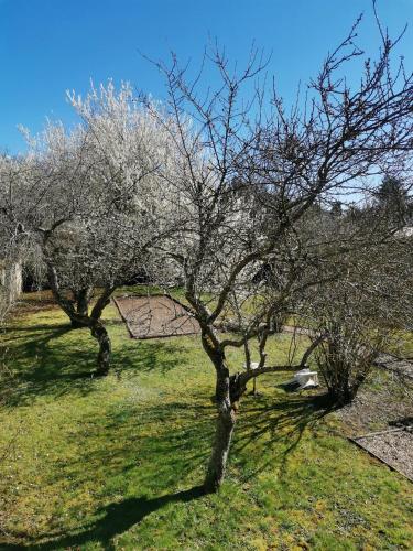 Logis Hotel Le Cerf - image 2