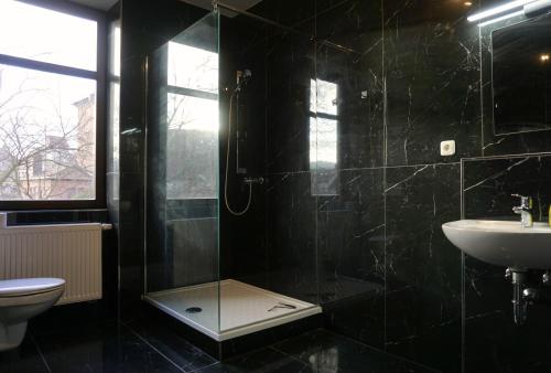 Shower, 11 Monteursapartments zur Alleinnutzung in Klingenberg am Main