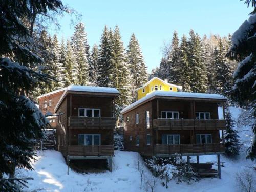 Viesnīcas āriene, Type C Comfortable holiday residence in Grossbreitenbach