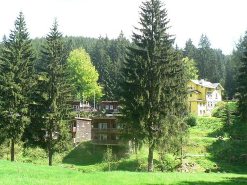 Viesnīcas āriene, Type C Comfortable holiday residence in Grossbreitenbach