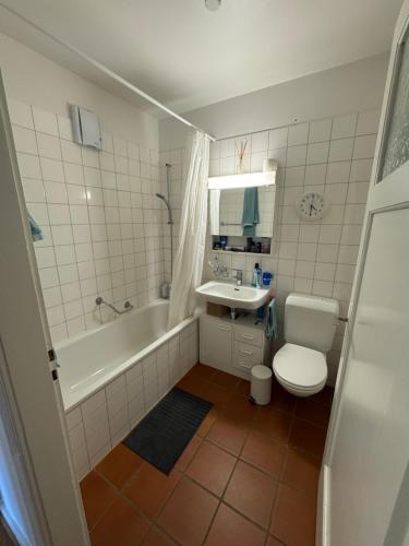 Sunny appartement near Downtown, Basilea