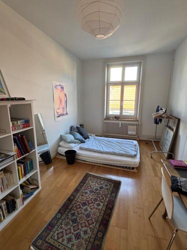 Sunny appartement near Downtown, Basilea (foto 3)