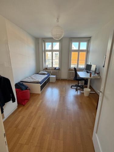 Sunny appartement near Downtown, Basilea (foto 8)