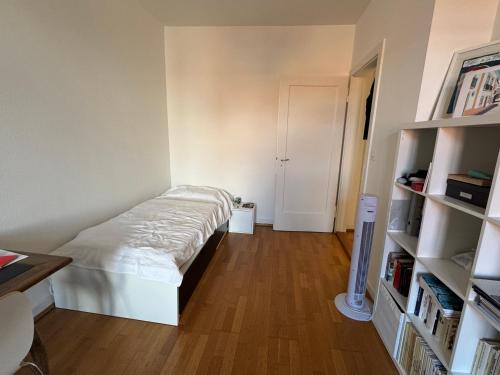 Sunny appartement near Downtown, Basilea (foto 10)