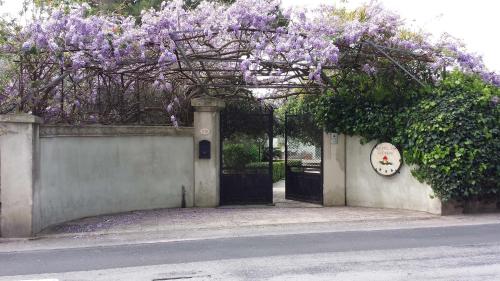 La Piccola Locanda - Trombatore