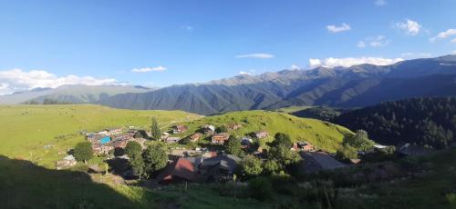 Guesthouse hegho სასტუმრო ჰეღო in Omalo