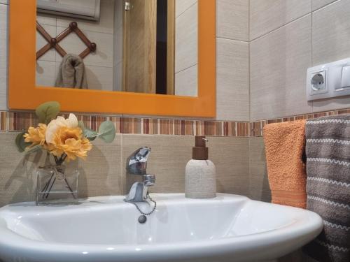 Buen Camino, alojamiento céntrico con terraza