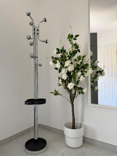 Apartment WH 10 in 弗雷興