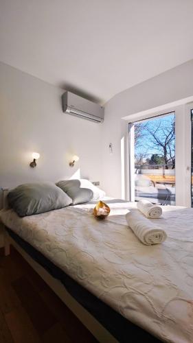 Willa Jaśmin Domki, Apartamenty, Pokoje nad morzem