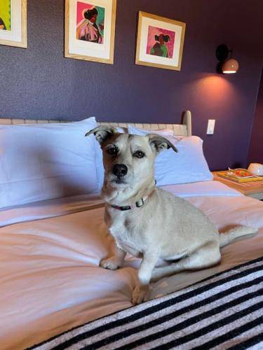 Poni - Luxurious Little Charmer (Poni Suite), Santa Fe (photo 9)