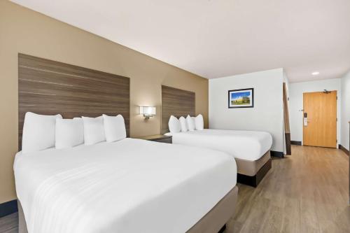 Queen Room with Two Queen Beds - Non-Smoking