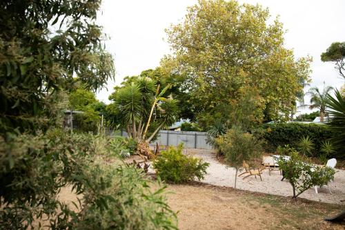 Rockpool at Maslins Beach