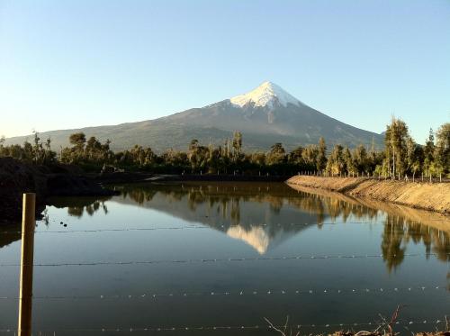 

Cabañas el Bosquecito