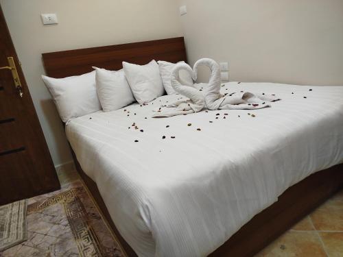 kanooz pyramids view inn