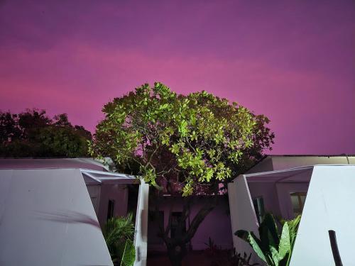 Zomad Hostels, Pondicherry (Auroville) in بونديتْشيري