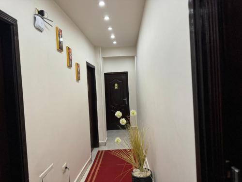 Magic pyramids Eden Magic pyramids Eden