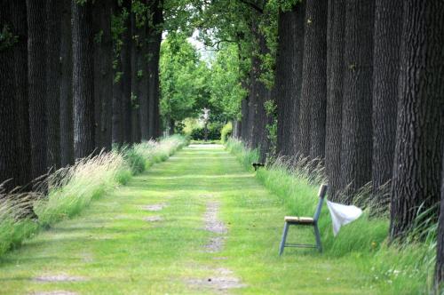 Herberg de Brabantse Kluis - image 5
