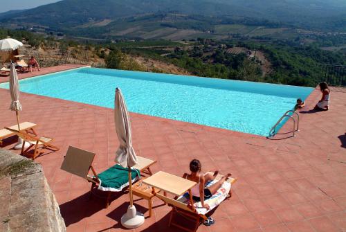 Úszómedence, Castello Vicchiomaggio in Greve in Chianti