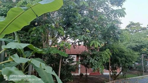 Nguyên căn Homestay Mẹ Khang 2