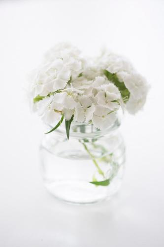 Ariae Dépendance - Alihotels