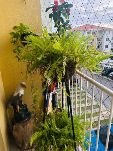 Apartment in Torquato Tapajós, Manaus (fotografie 5)