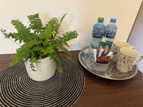 Zielona Łąka Zielona Łąka