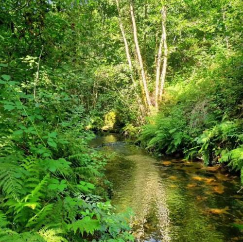 Casa Grande de Covas-Apartamentos Turísticos