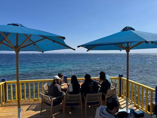 مطعم, Chillax Dahab in دهب