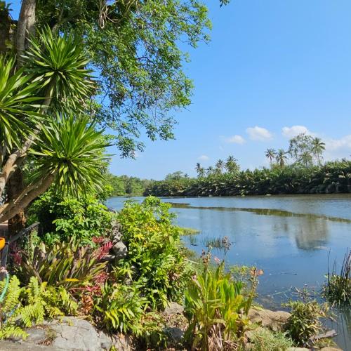 수랏타니 Wooden house and birdsong2 3성급 싱글룸 로비