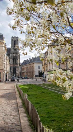 Appartement au pied de la Cathédrale - Reims Centre