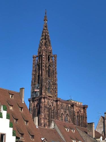 Hypercentre Strasbourg Vue Cathédrale, Strasbourg (photo 9)