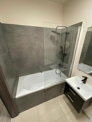 Shower, YoniHarmony - 2 parking places in Sosnowiec