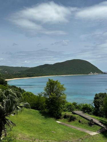 Koli Fwi Studio in Pointe-Noire