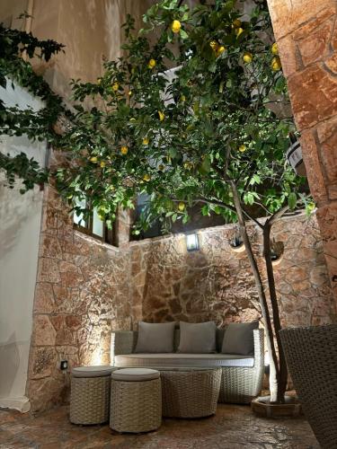 บริการและสิ่งอำนวยความสะดวก, Pension Dafni in นัฟพลิออน