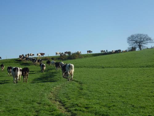 Aktivitātes, Ferme Clatot in Le Mesnil-sur-Blangy