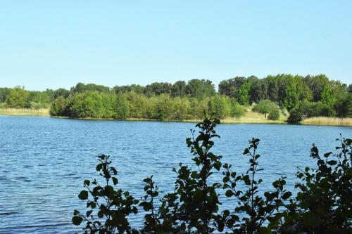 Apkārtne, Exklusivt boende intill skog, nära naturreservat (Exklusivt boende intill skog, nara naturreservat) in Saxtorp