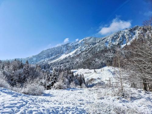 Holiday Home Tiny Haus Glockenalm - Sunny Place by Interhome in فيشباشاو