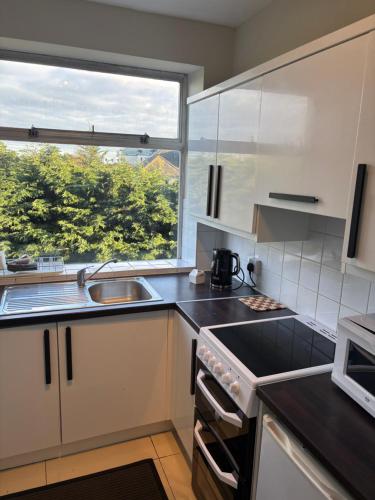 Stylish Dublin4 - One Bedroom Apt, Dublin (fotografie 3)