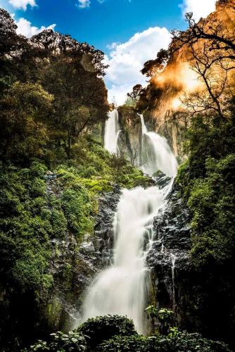 Hotel Villa De Las Flores Hotel Villa De Las Flores