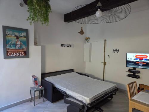 Meynadier 66 - Appartement Très Calme avec Cour Privative, Plage, Gare, Palais à 300m, Cannes (zdjęcie 8)