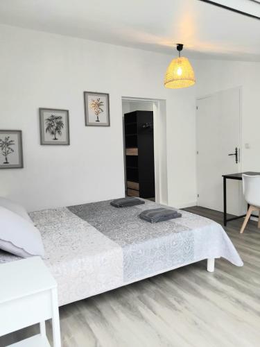 House with 5 bedrooms and HOT TUB, Saint-Cyprien-Plage (zdjęcie 8)