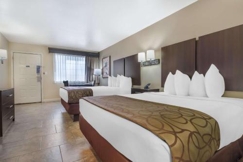 2 queen beds