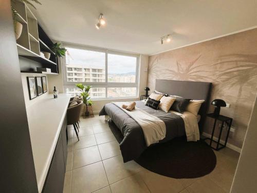 HOM I Amplio Studio a Estrenar en el centro de La Serena 330